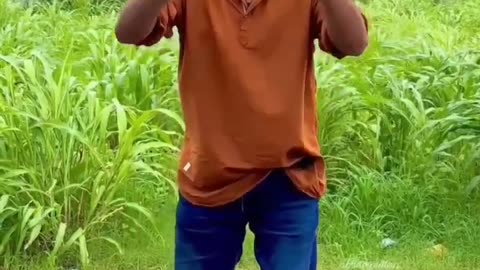 Fanny dance