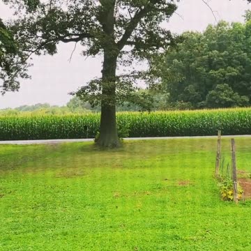 Monday Moment In Nature