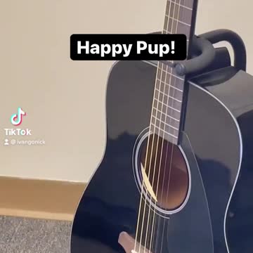 A Little Jam With Sound Dog Training