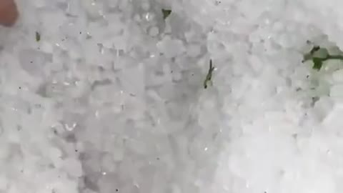 Person Moves Hand Through Pile of Hailstones in Driveway to Show Outcome of Hailstorm