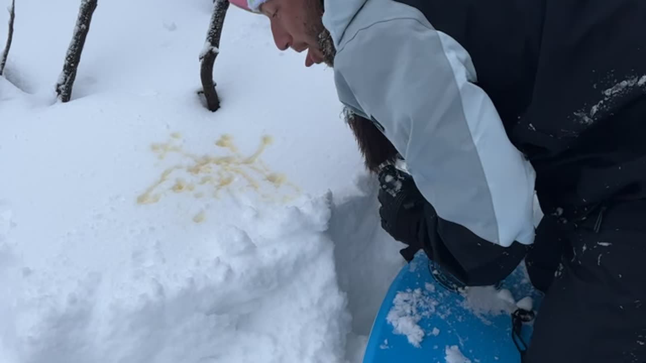 Forbidden Snow Cone