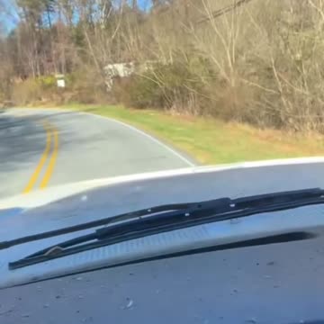 raccoon jumps off of truck