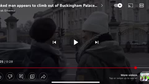 Explain what went on within the walls of Buckingham Palace