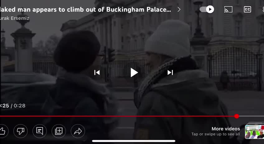 Explain what went on within the walls of Buckingham Palace