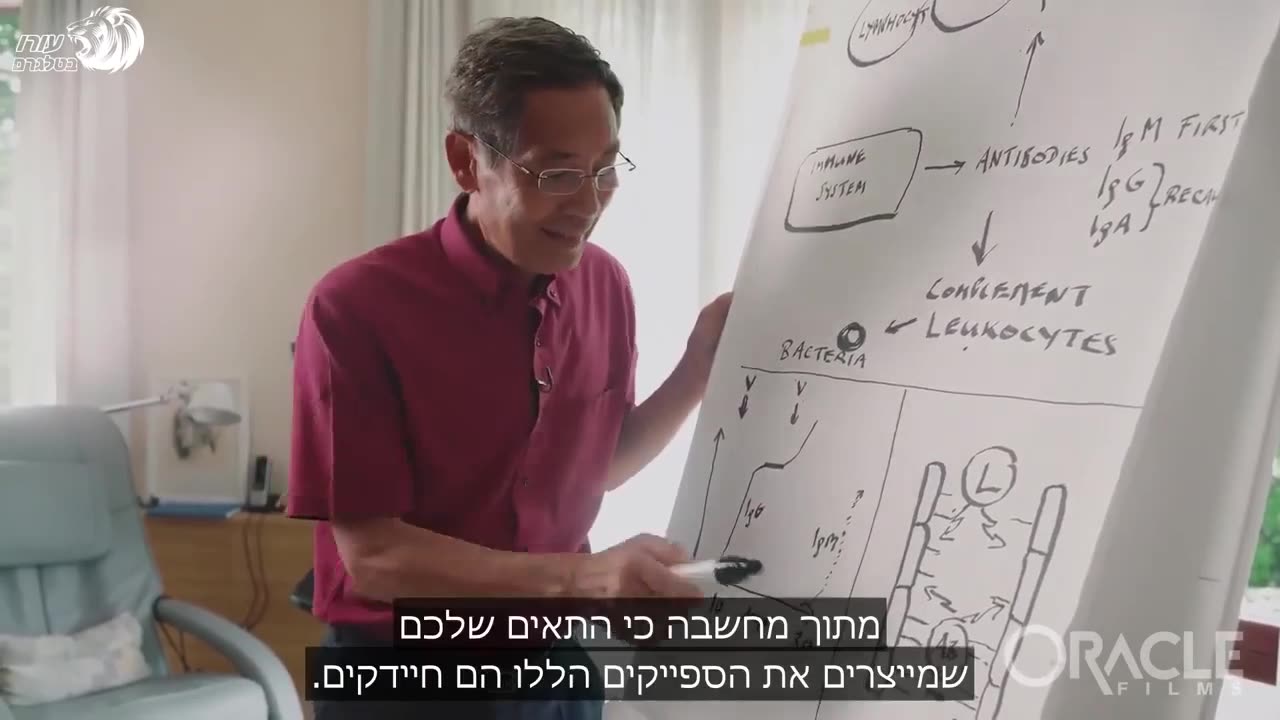 דר סוכרית בהקדי מסביר איך החיסון פוגע בכלי הדם וגורם לקרישי דם