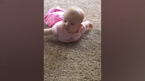 Cute Babies Playing With Dogs Compilation | Funny Baby And Pets