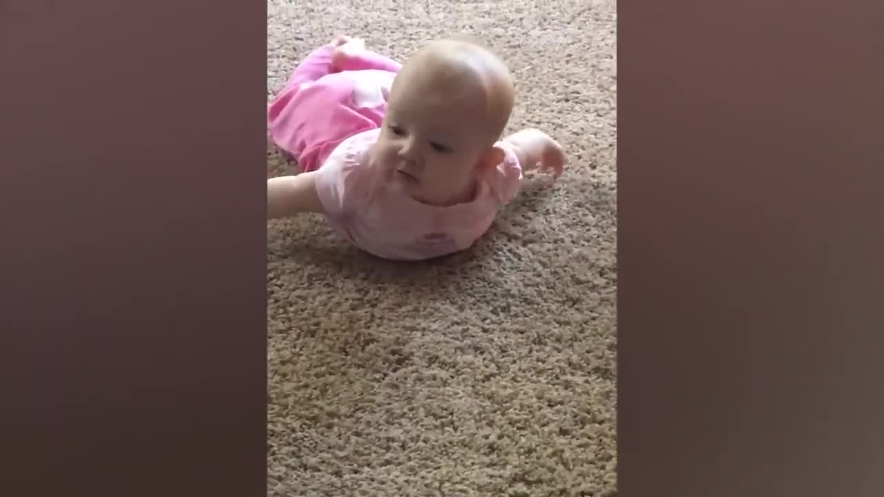 Cute Babies Playing With Dogs Compilation | Funny Baby And Pets