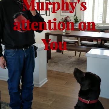 Murphy and the Lure in slow motion