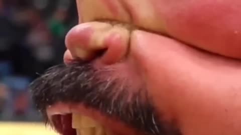 Where did you see me?