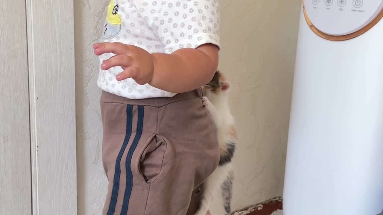 Kitten Clings To Boy