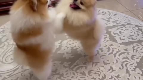 don’t fight cuttiiee😝😝😝