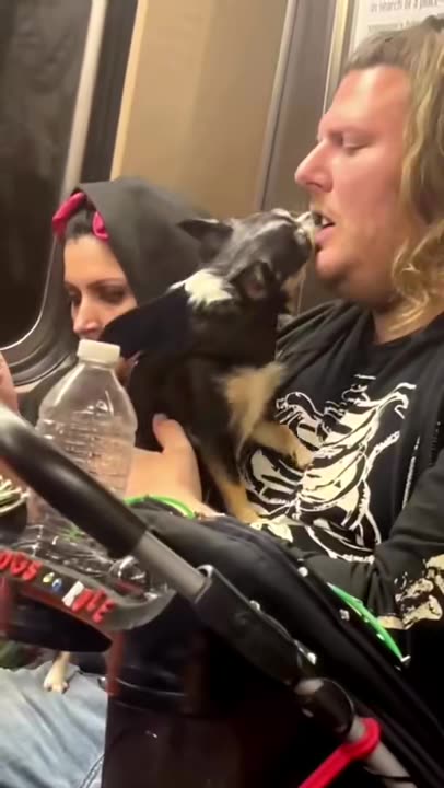 When you finally decide to take Public transportation