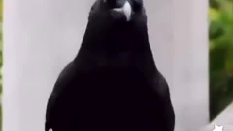 A GIGGLE FOR 3-5-23 ME 🤷‍♀️WHEN SOMEONE TELLS ME TO KEEP MY ATTITUDE TO MYSELF