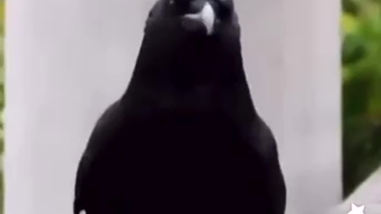 A GIGGLE FOR 3-5-23 ME 🤷‍♀️WHEN SOMEONE TELLS ME TO KEEP MY ATTITUDE TO MYSELF