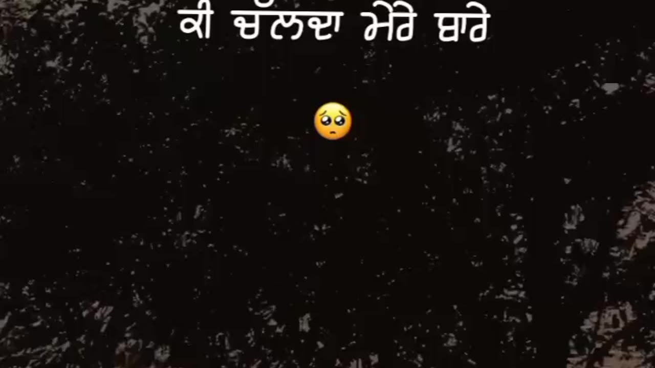 Pata nahi tere Dil vich ki chlda hai mere vare lyrics status