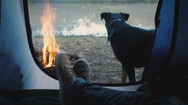 Person inside a Tent with Dog #mayafunnyvideo