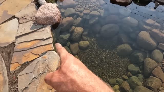 POND REVEAL - Custom Build That Fits This Space Best!