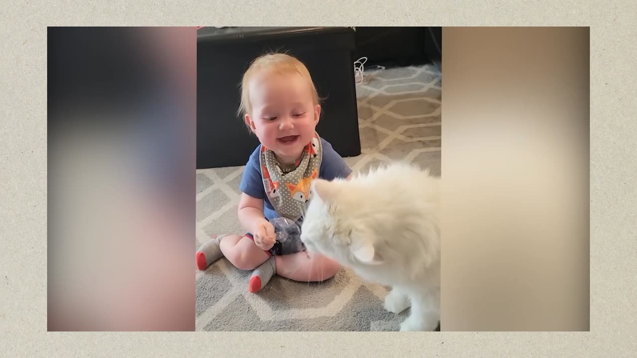 Cat and baby funny moments