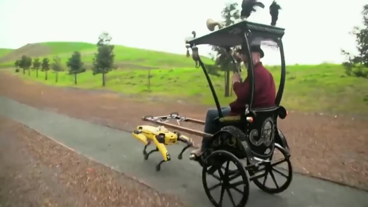 Horse substitute 😃 as we loop back in time into the future!!