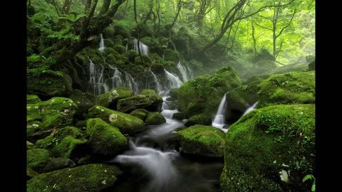 The River