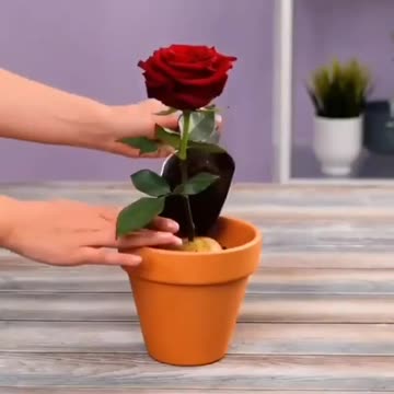 Everything is simple!!!