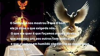 # 4 MENSAGENS DIVINAS