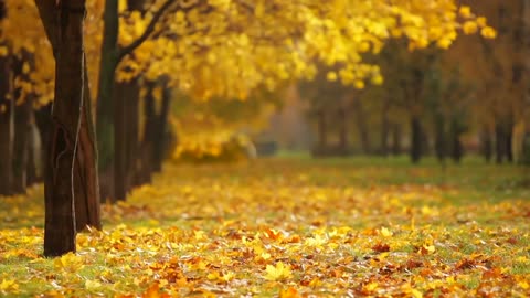 Relaxing Ambient Music For Sleeping - Beatiful Music For Meditation, Relaxation, Study