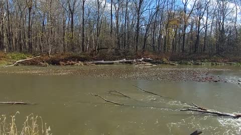 Chagrin River North Chagrin Reservation Metropark