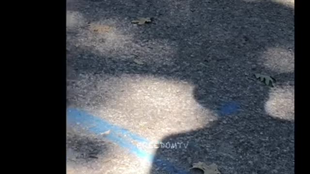 The Set Up-Part 13- They don’t shut it off when they’re radiating “WeThe People!”