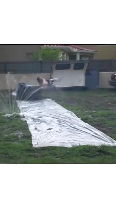 amazing funny Video Clips #shorts (159)