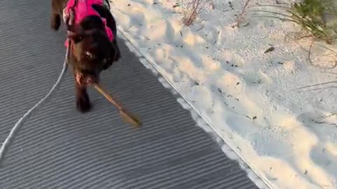 “Mommy we're at the beach!Why do you look sad?"