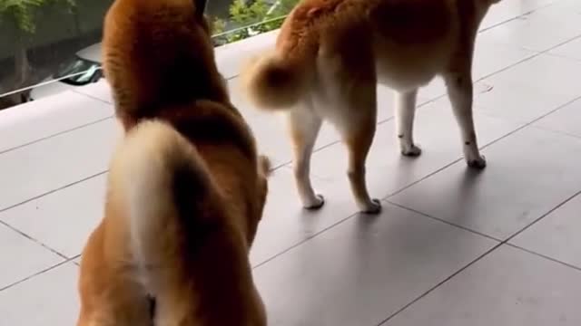 Difficulties contain victory, and failure breeds success