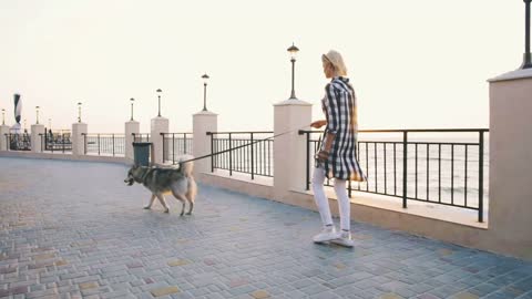 Young female walking with siberian husky dog on sea front at sunrise, slowmo