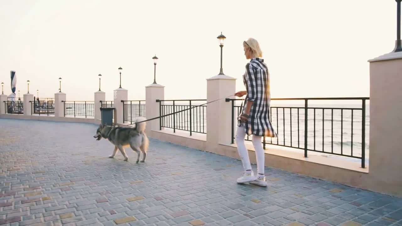 Young female walking with siberian husky dog on sea front at sunrise, slowmo
