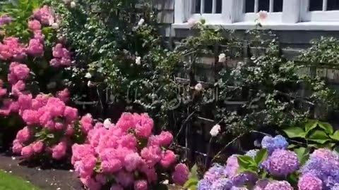 Jab Allah Tala Ne Apne Habib huzoor ﷺ Ka Naam Rakha - Urdu Status Whatsapp Status Videos