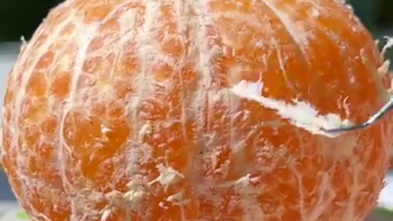 Only 3 Ingrendients!Cat Makes Orange Custard🍊 | Cat Cooking ASMR | Cute Cat TikTok#Shorts