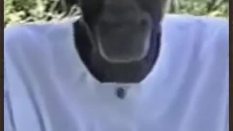 Dr. Sebi the Power of HERBS