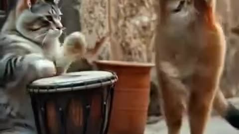 Cat 🐱movie #shorts #youtubeshorts #shortvideo #short #cat #song #catvideos #cute #music #catlover