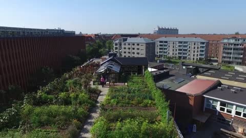Eat on City Rooftop! – Restaurant Stedsans at ØsterGRO in Copenhagen