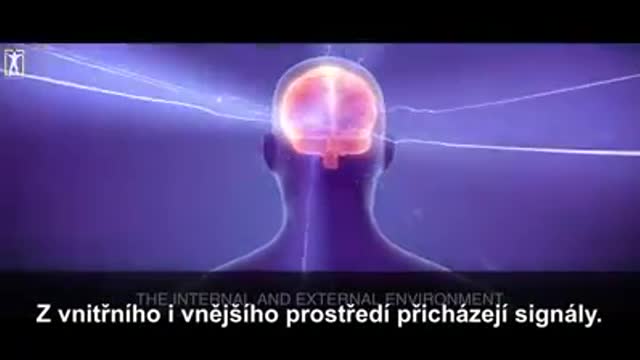 Dr. Bruce Lipton