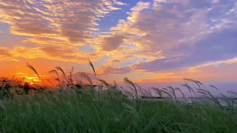 blue sky, white clouds