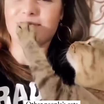 "Feline Affection" or "Purrfect Love" shows sharing of warmth Love between Cat and Owner