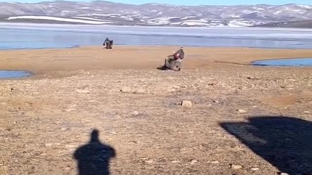 a cold and fishless morning!