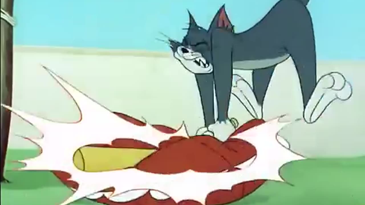 Tom and Jerry Cartoon Best Ever Episode
