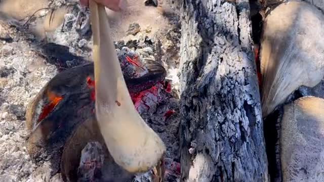 Surviving of the land ##survivalskill##coconuts