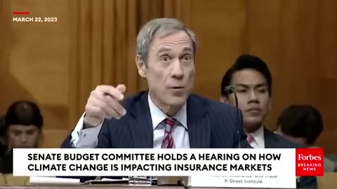 'Let's Talk About The Reality'- Ron Johnson Grills Witnesses On Cause Of Property Destruction