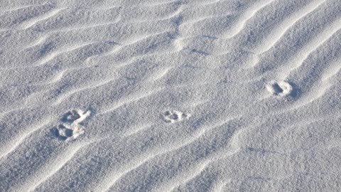 White Sands National Park, New Mexico, USA [Amazing Places 4K]