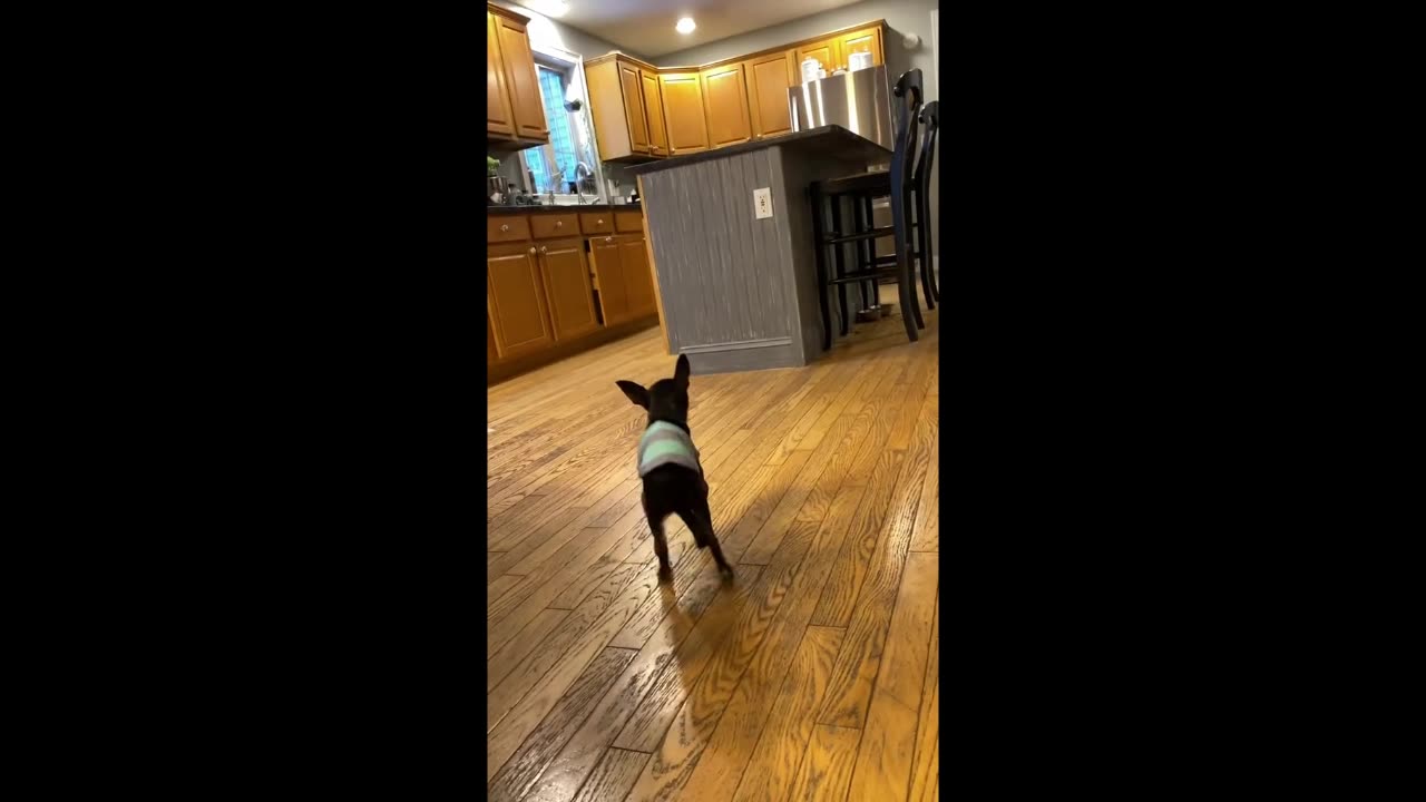 Walk It, Like I, Talk It.