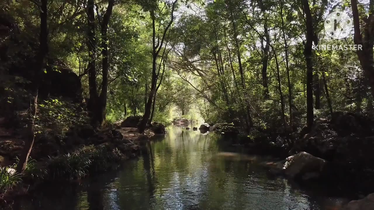 Nature meditation