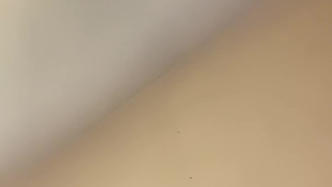 Ujji Plays Random Flute